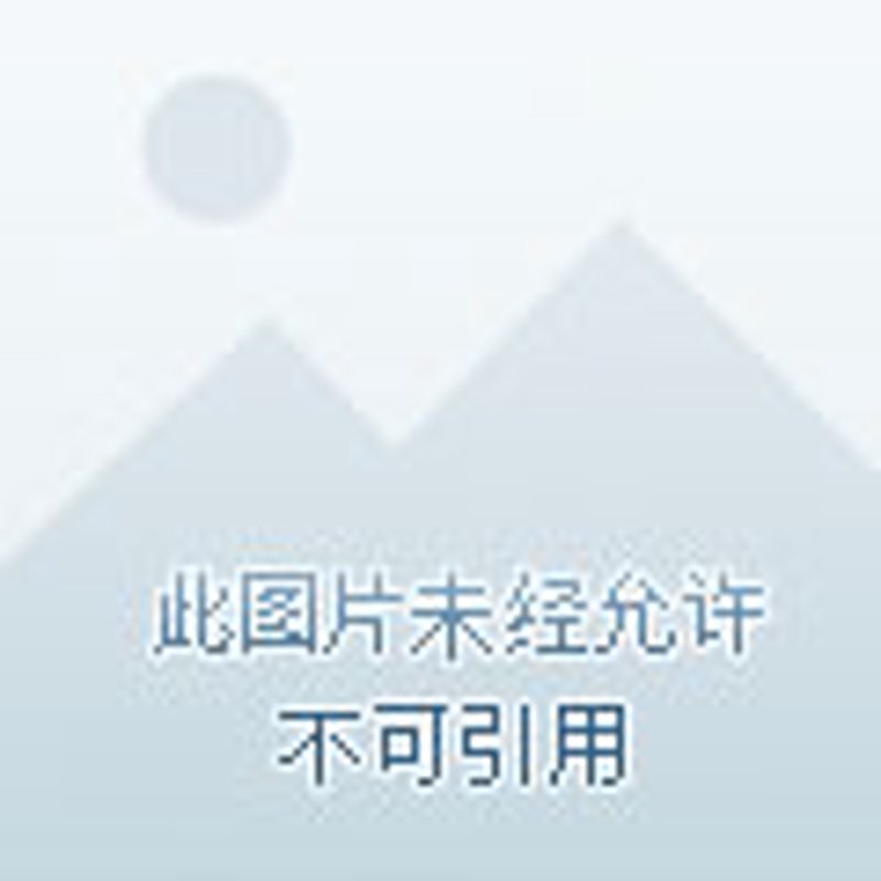 群蚁网络直播的优势与挑战
